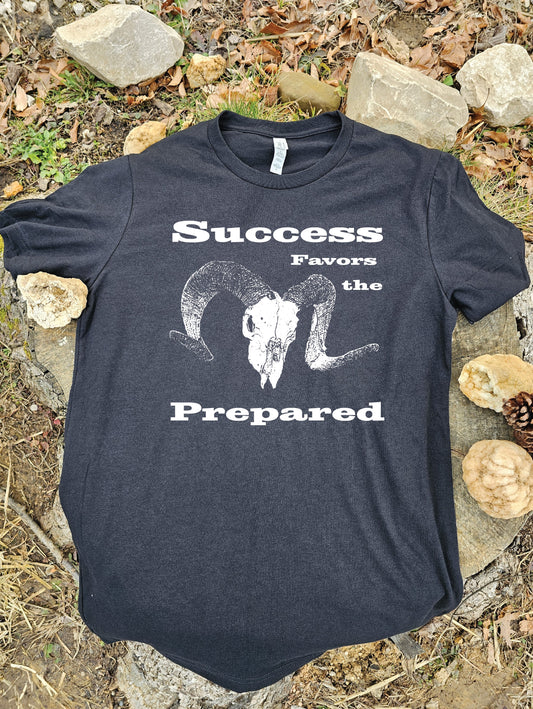 Success - Sheep